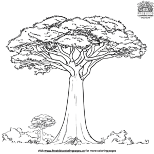 Baobab tree coloring pages