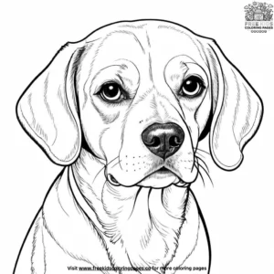 Beagle Coloring Pages