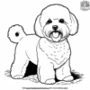 Bichon Frise Coloring Pages