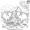 Big Farm Pigs Coloring Pages