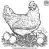 Brooding Hen Coloring Pages