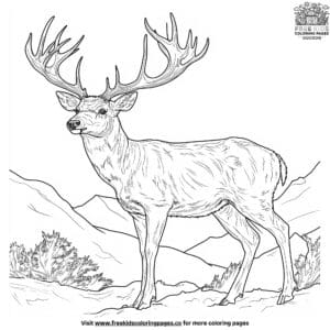 Buck With Large Antlers Coloring Pages