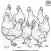 Chicken Flock Coloring Pages