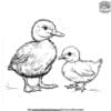 Chick And Duckling Coloring Pages