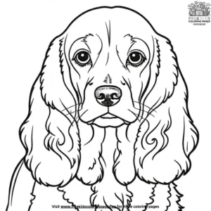 Cocker Spaniel Coloring Pages