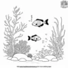 Coral Reef Coloring Pages