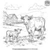 Cows And Calves Coloring Pages