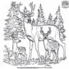 Deer Family In the Forest Coloring Pages