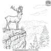 Deer On A Cliff Coloring Pages