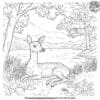 Deer Relaxing By A Pond Coloring Pages