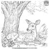 Deer Under a Tree Coloring Pages