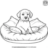 Dog Covered in Pillows Coloring Pages