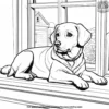 Dog Lying by the Window Coloring Pages