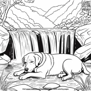 Dog Napping by a Waterfall Coloring Pages