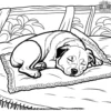 Dog Sleeping on a Blanket Coloring Pages