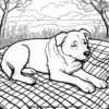 Dog Sleeping on a Picnic Blanket Coloring Pages