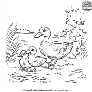 Duck And Ducklings Coloring Pages