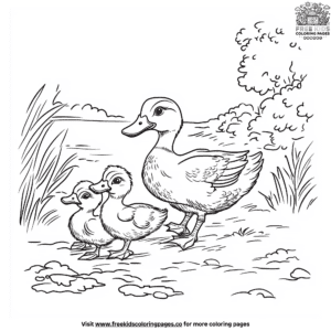 Duck and ducklings coloring pages