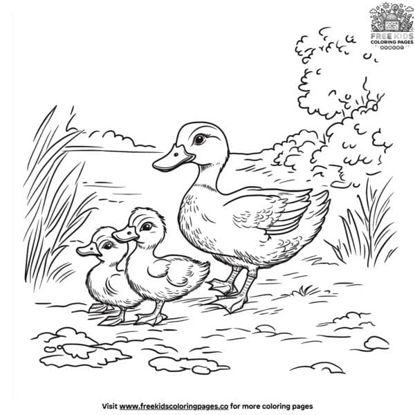 Duck and ducklings coloring pages