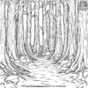 Eerie Forest Coloring Pages