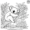 Eucalyptus Tree Koala Coloring Pages