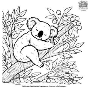 Eucalyptus tree koala coloring pages