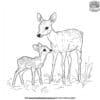 Fawn With Mother Deer Coloring Pages