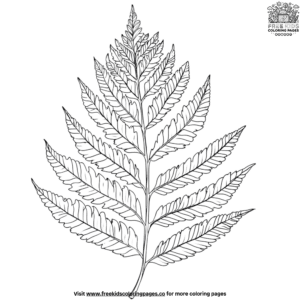 Fern leaf coloring pages (1)