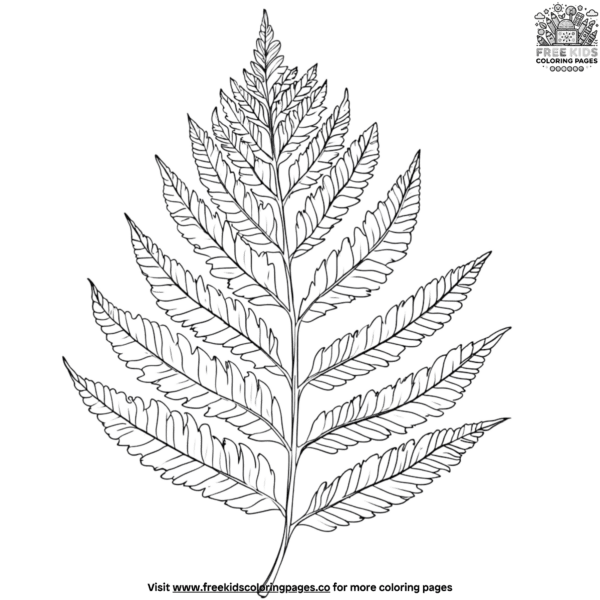 Fern leaf coloring pages (1)