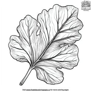 Fig Leaf Coloring Pages