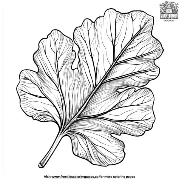 Fig leaf coloring pages