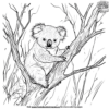 Forest Koala Coloring Pages