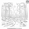 Forest Sunset Coloring Pages