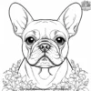 French Bulldog Coloring Pages