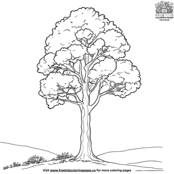 Giant kauri tree coloring pages