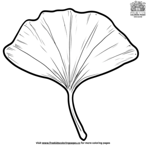 Ginkgo Leaf Coloring Pages