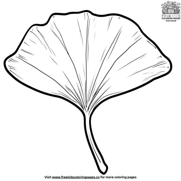 Ginkgo leaf coloring pages