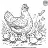 Hen And Chicks Coloring Pages