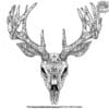 Intricate Deer Skull Coloring Pages