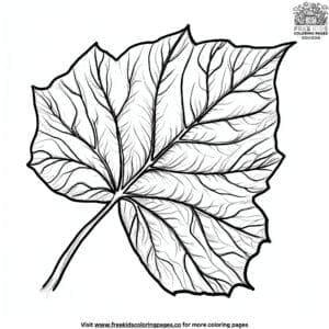 Ivy Leaf Coloring Pages