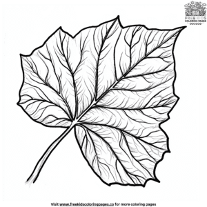 Ivy leaf coloring pages