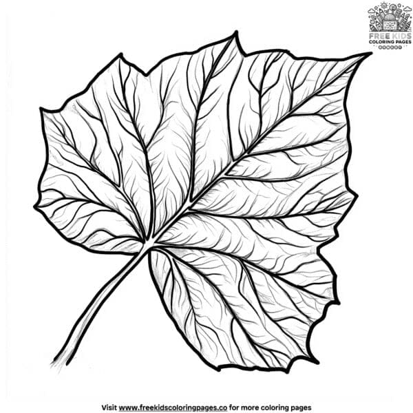 Ivy leaf coloring pages