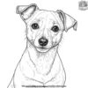 Jack Russell Terrier Coloring Pages