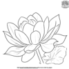 Lotus Leaf Coloring Pages