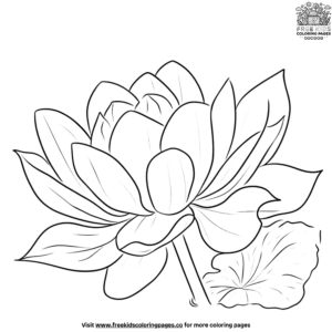 Lotus Leaf Coloring Pages