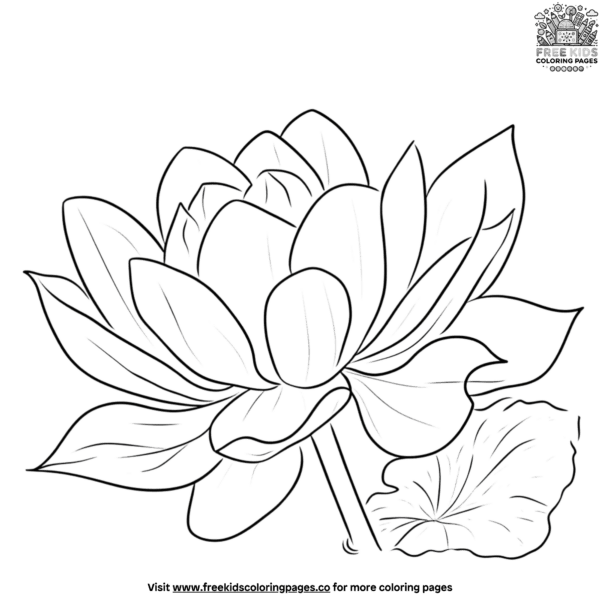 Lotus leaf coloring pages