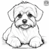 Maltese Coloring Pages