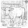 Milk Cow Coloring Pages