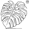 Monstera Leaf Coloring Pages