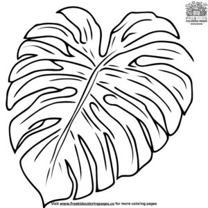 Monstera leaf coloring pages